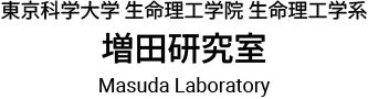 Masuda Laboratory, Department of Life Science and Technology, School of Life Science and Technology, Institute of Science Tokyo